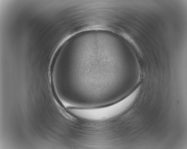 X0000066951372200603271156