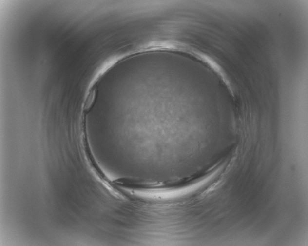 X0000066951373200603271156
