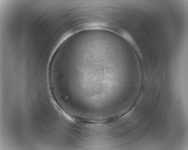 X0000066951384200603271155