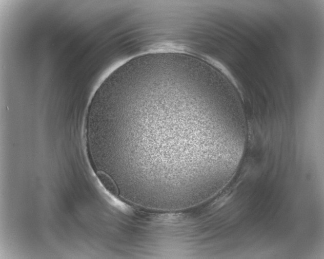 X0000066951387200603271155