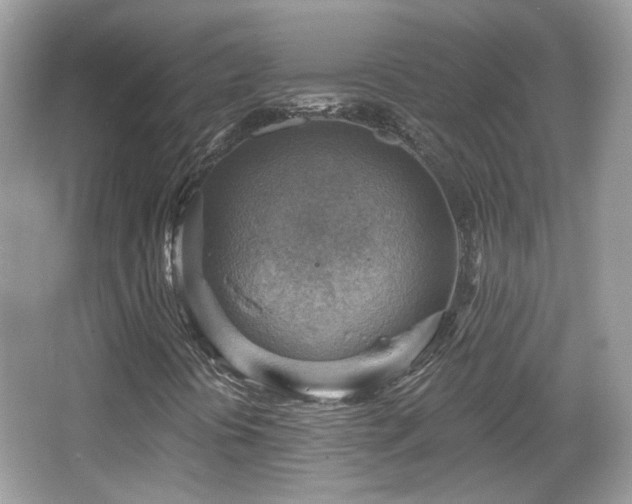 X0000066951394200603271155