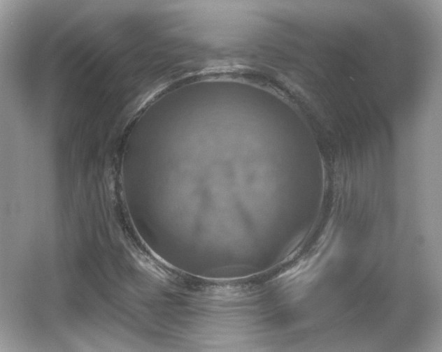 X0000066951401200603271155