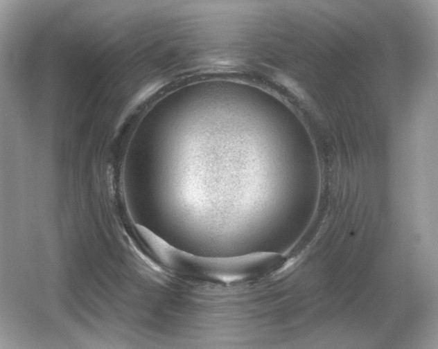 X0000066951402200603271155