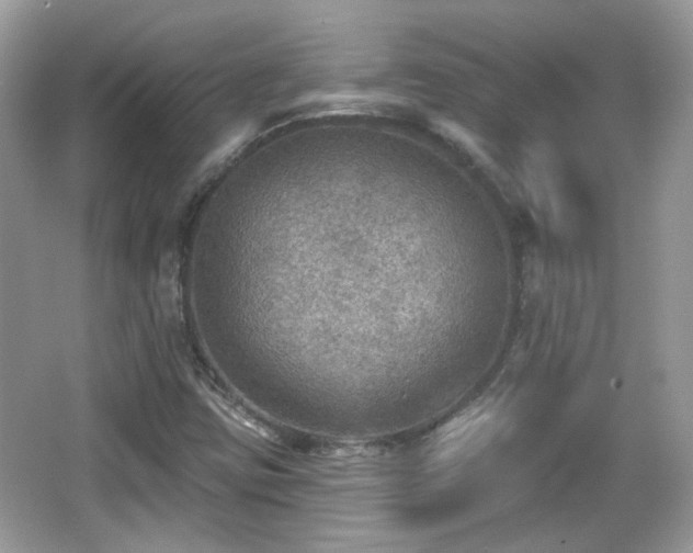 X0000066951403200603271155