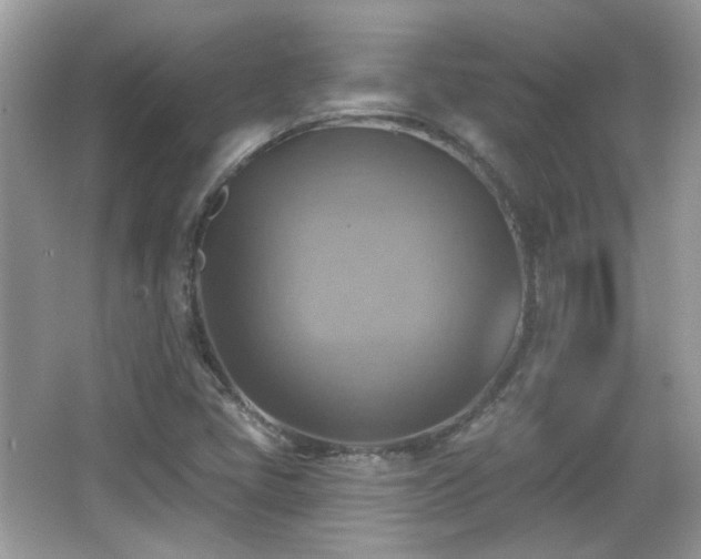 X0000066951405200603271155