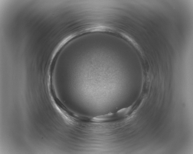 X0000066951418200603271155