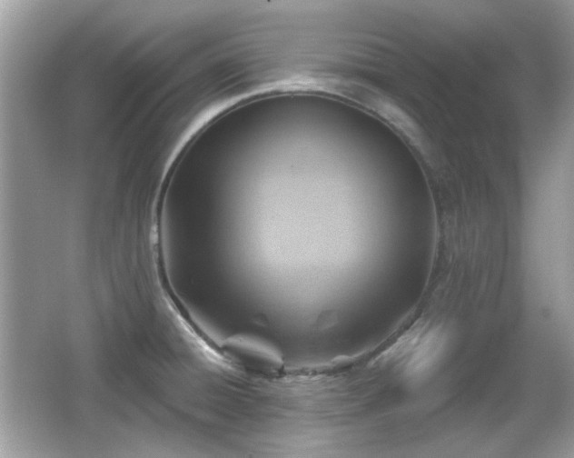 X0000066951428200603271155