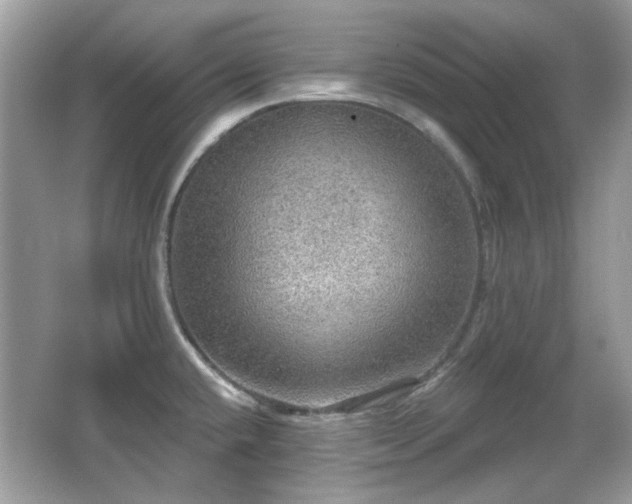 X0000066951432200603271155