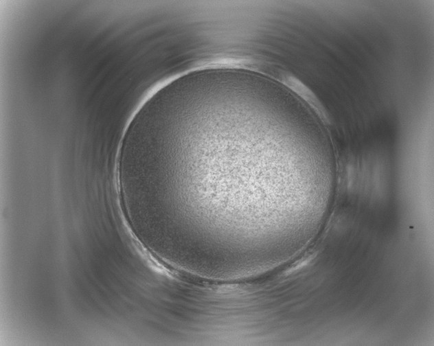 X0000066951436200603271155