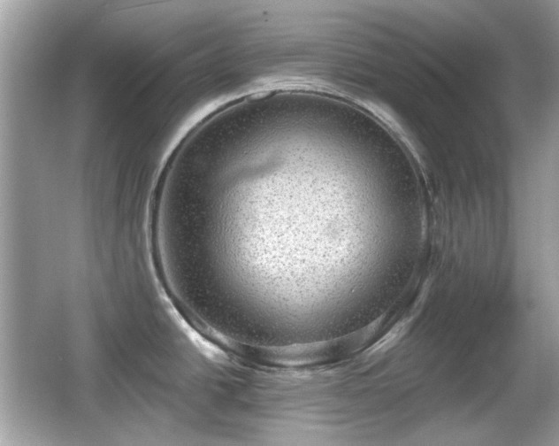 X0000066951438200603271155