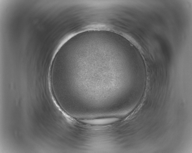 X0000066951440200603271155
