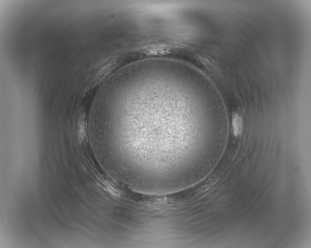 X0000066951444200603271154