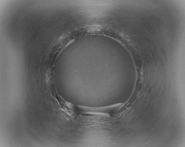 X0000066951445200603271154