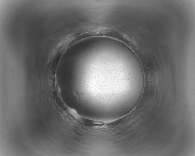X0000066951447200603271154