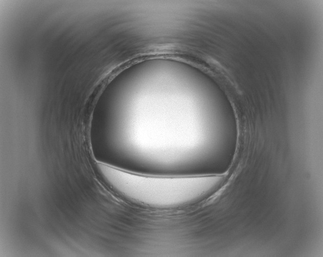 X0000066951449200603271154