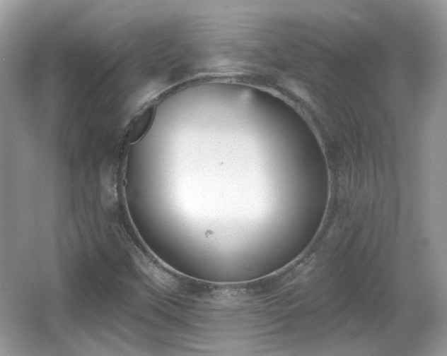 X0000066951451200603271154