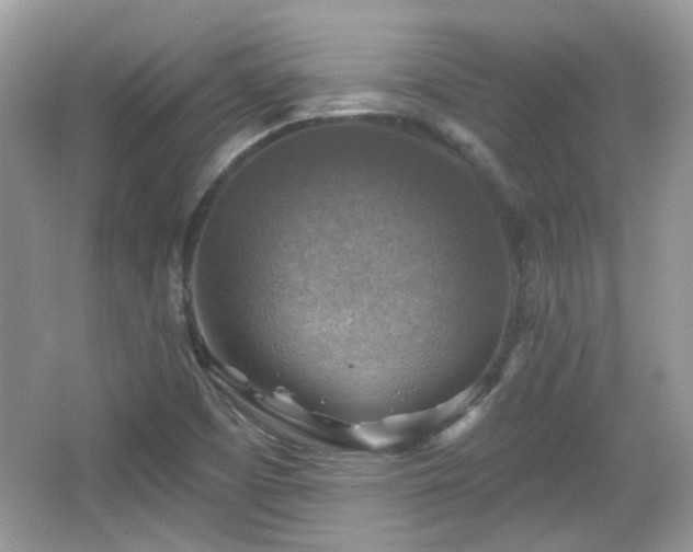 X0000066951457200603271154