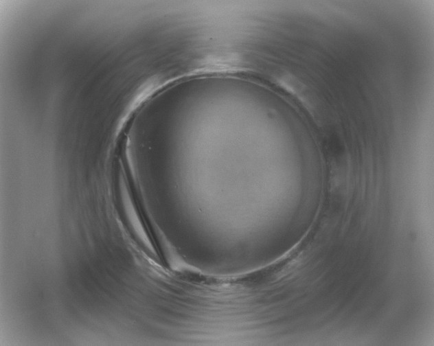 X0000066951459200603271154