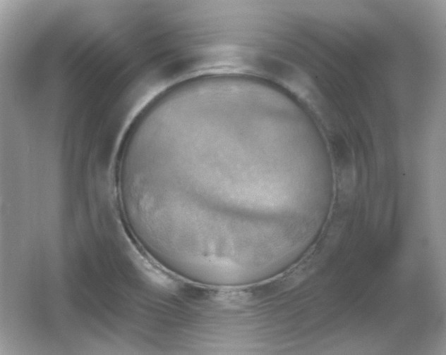 X0000066951466200603271154