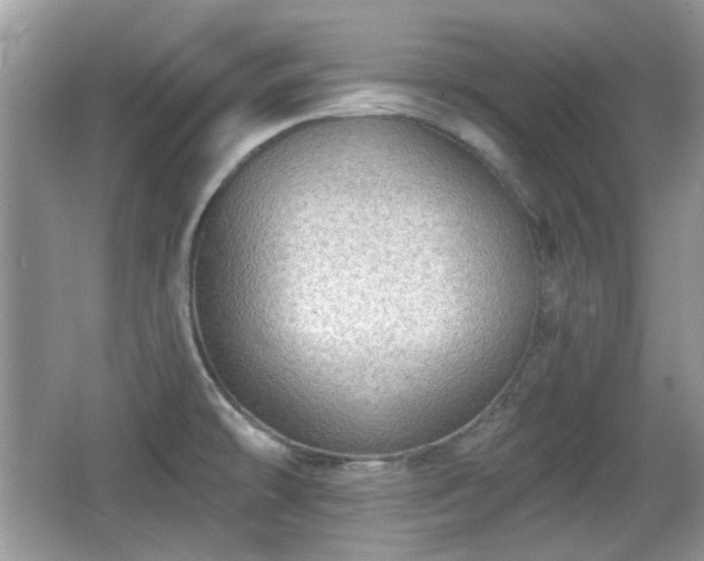 X0000066951478200603271154