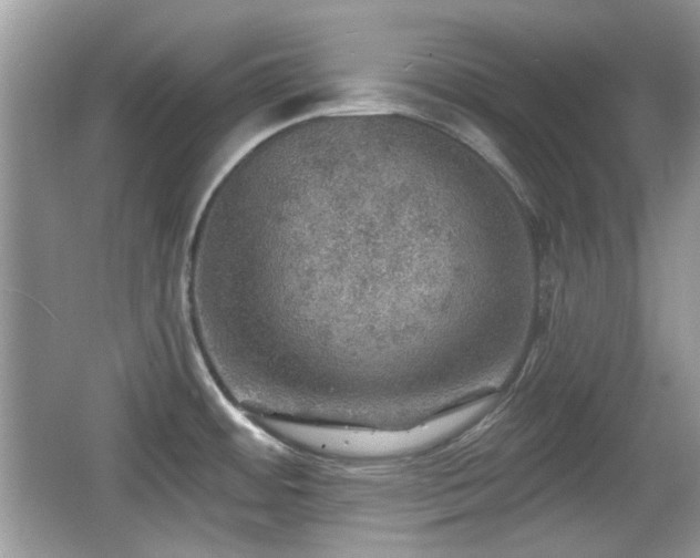 X0000066951484200603271154
