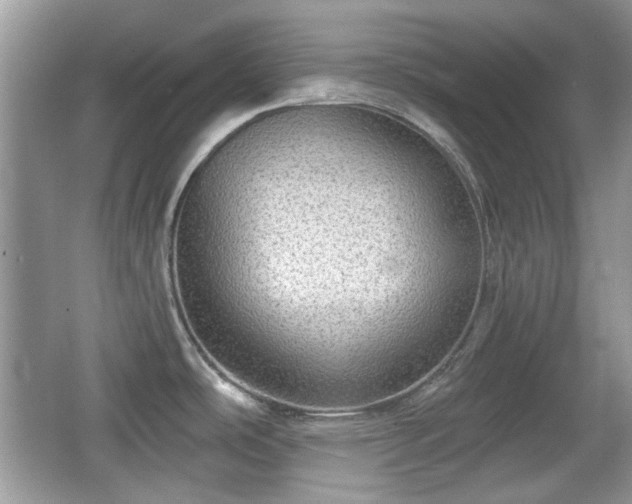 X0000066951486200603271154