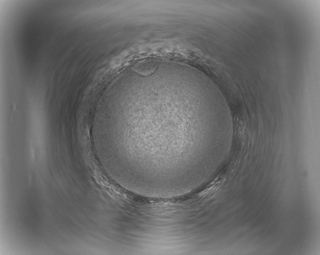 X0000066951489200603271153