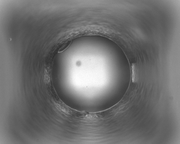 X0000066951491200603271153