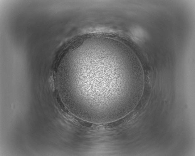 X0000066951493200603271153