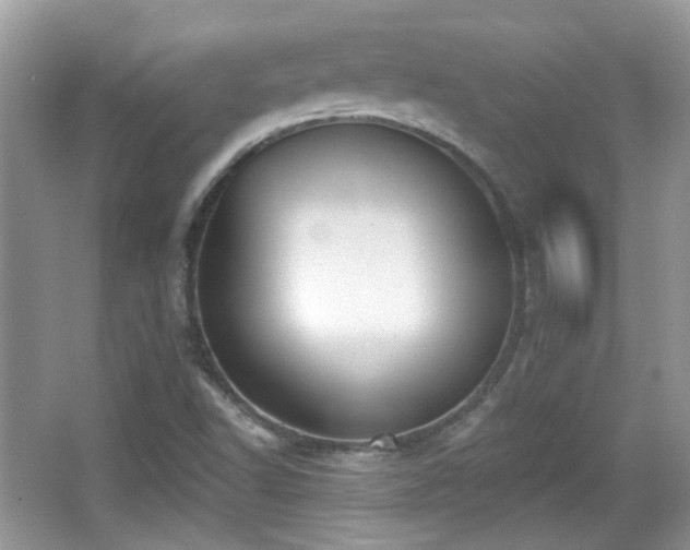 X0000066951502200603271153