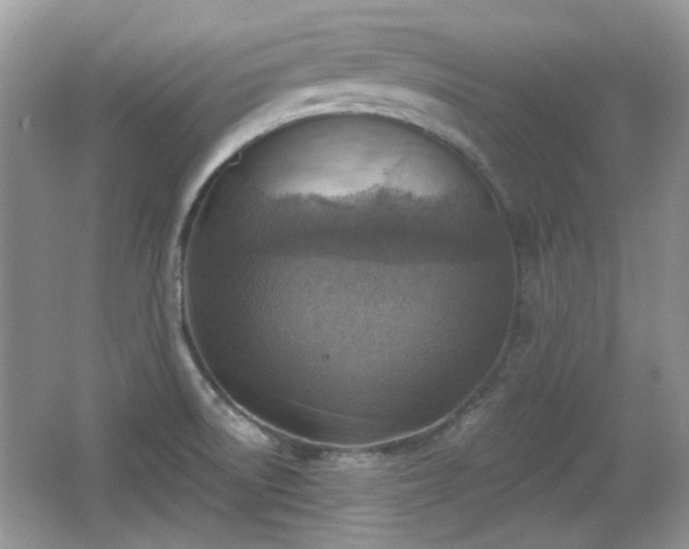X0000066951522200603271153
