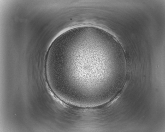 X0000066951534200603271154