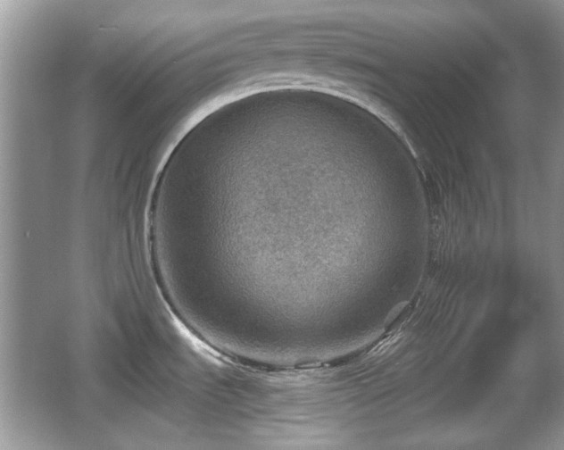 X0000066951535200603271154