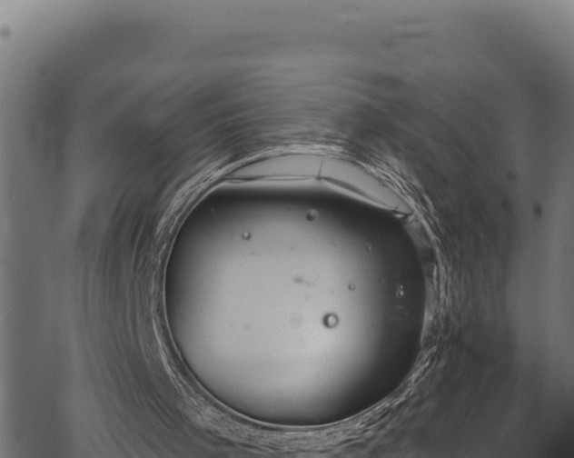 X0000066950001200603311454