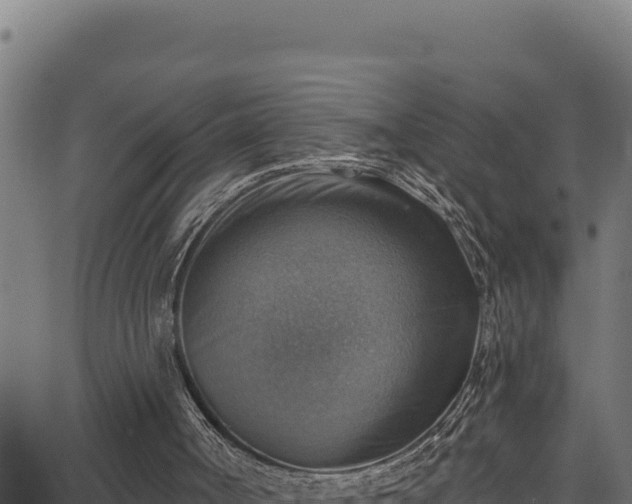 X0000066950002200603311454