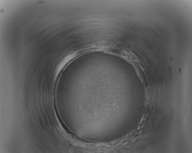 X0000066950003200603311454