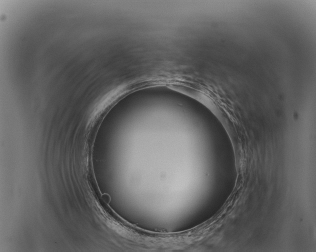 X0000066950005200603311454