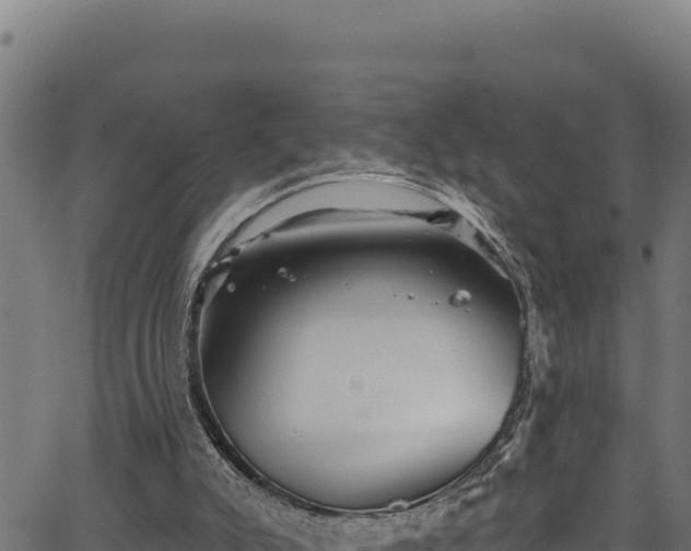 X0000066950007200603311454