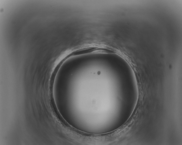 X0000066950008200603311454