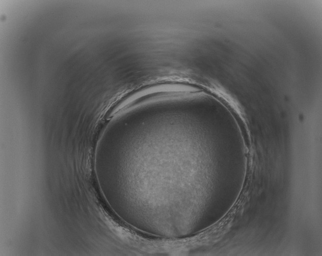 X0000066950009200603311454