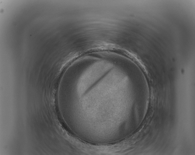 X0000066950010200603311454