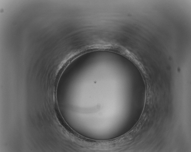 X0000066950011200603311454