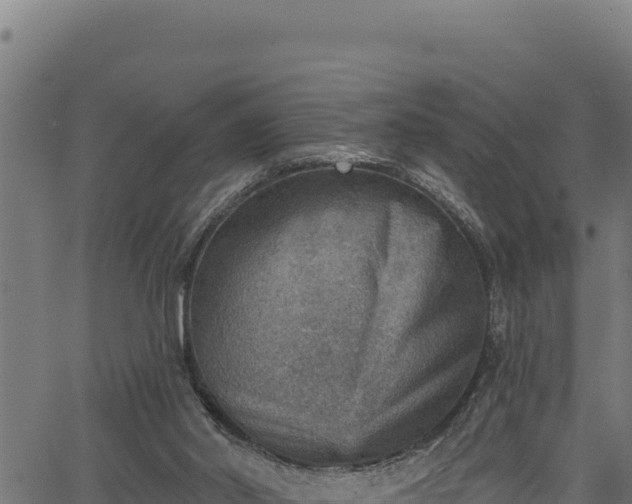 X0000066950014200603311454