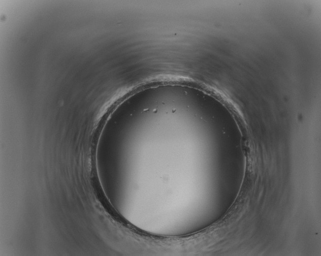 X0000066950015200603311454