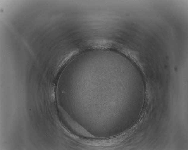 X0000066950017200603311453