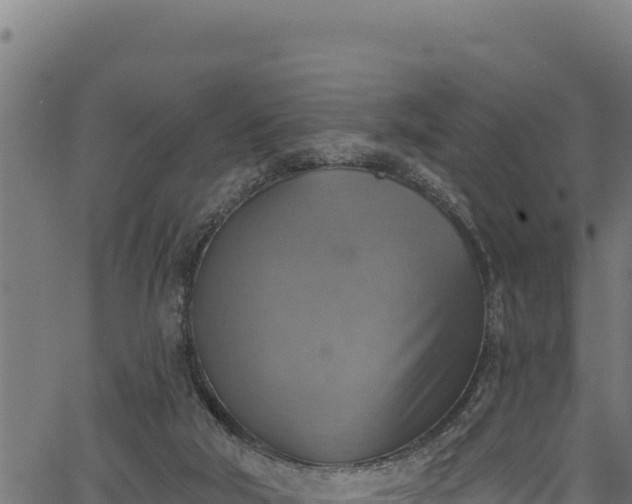 X0000066950018200603311453