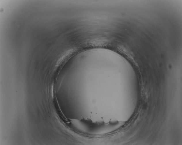 X0000066950019200603311453