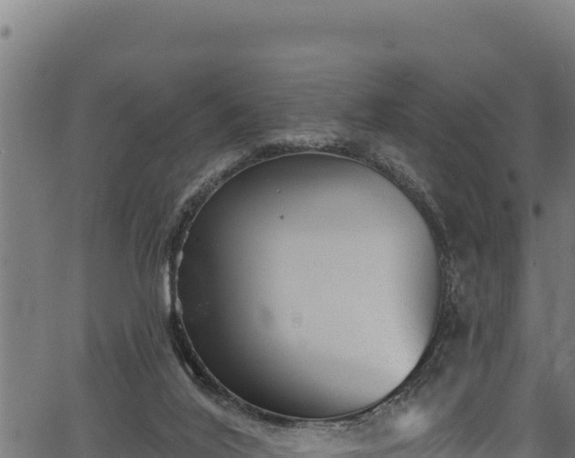 X0000066950020200603311453