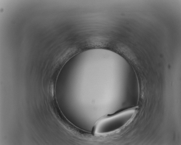 X0000066950021200603311453