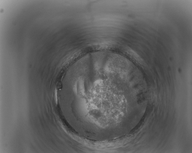 X0000066950022200603311453